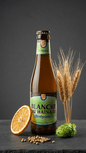 Blanche du Hainaut Biologique Bierflasche 25 cl mit Hopfen, Gerstenähren und Orangenscheibe vor grauem Hintergrund.